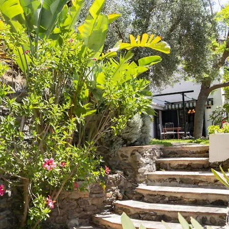 Farm stay Cortijo La Solana